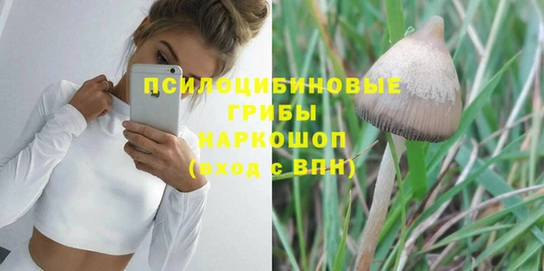 ешки Майский