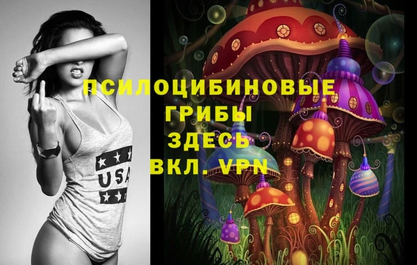 трава Магас